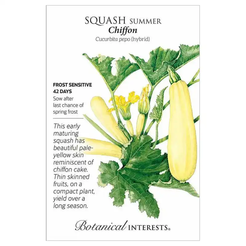 Botanical Interests Chiffon Summer Squash Seeds
