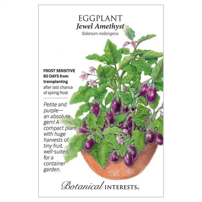 Botanical Interests Jewel Amethyst Eggplant Seeds