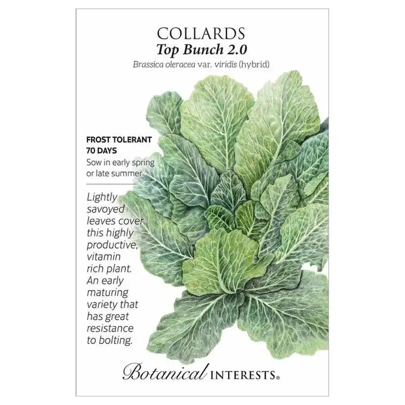 Botanical Interests Top Bunch 2.0 Hybrid Collards Seeds