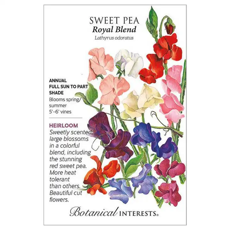 Botanical Interests Royal Blend Sweet Pea Seeds