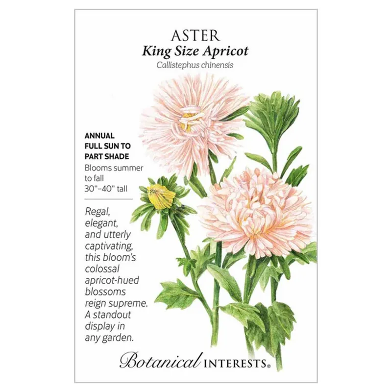 Botanical Interests King Size Apricot Aster Seeds