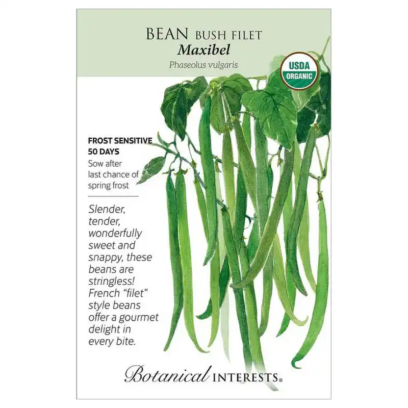 Botanical Interests Maxibel Filet Bush Bean Seeds