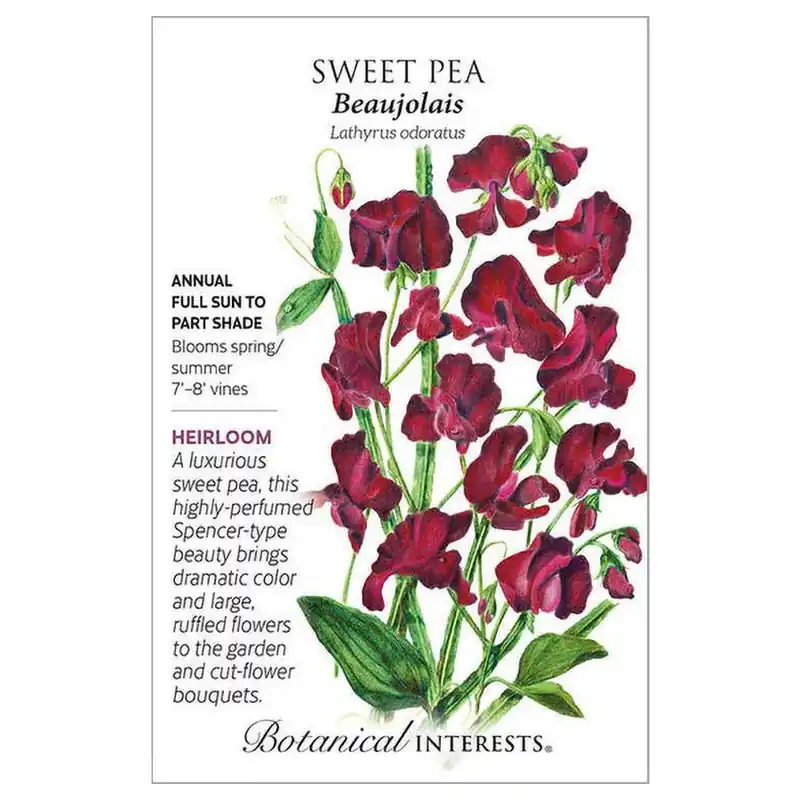 Botanical Interests Beaujolais Sweet Pea Seeds