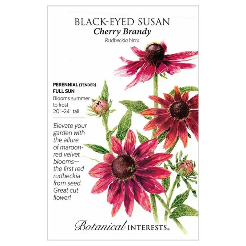 Botanical Interests Cherry Brandy Black-Eyed Susan Seeds