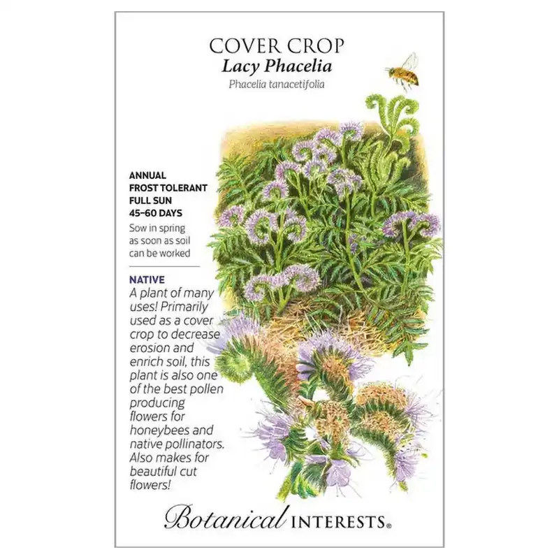 Botanical Interests Lacy Phacelia Cover Crop Seeds