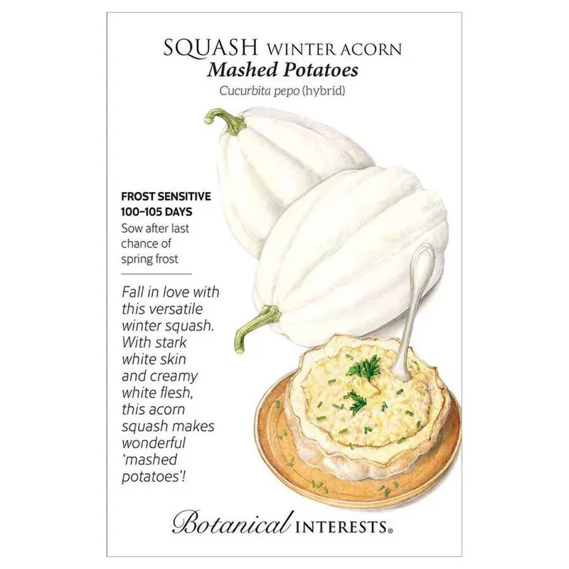 Botanical Interests Mashed Potatoes Acorn Winter Squash Seeds