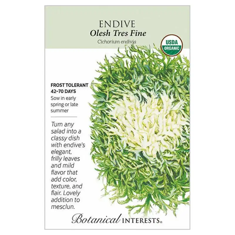 Botanical Interests Olesh Tres Fine Endive Seeds