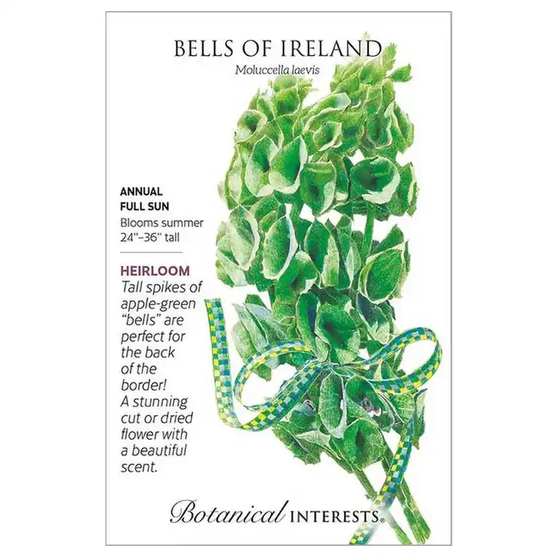 Botanical Interests Bells of Ireland Seeds