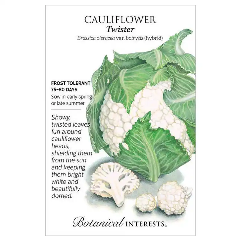 Botanical Interests Twister Hybrid Cauliflower Seeds