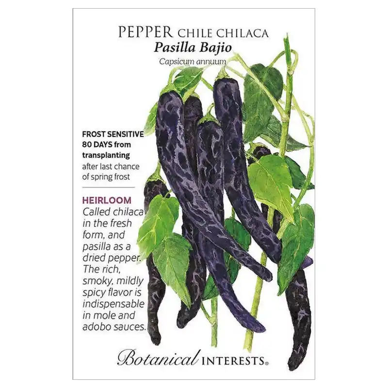 Botanical Interests Pasilla Bajio Chilaca Chile Pepper Seeds
