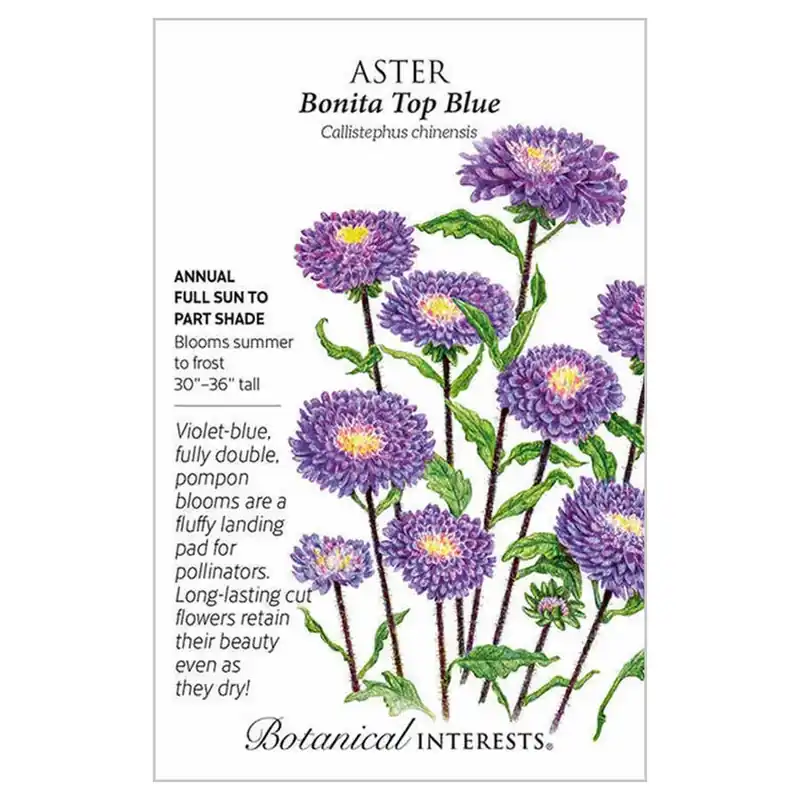Botanical Interests Bonita Top Blue Aster Seeds