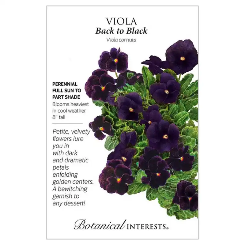 Botanical Interests Back to Black Viola Seeds