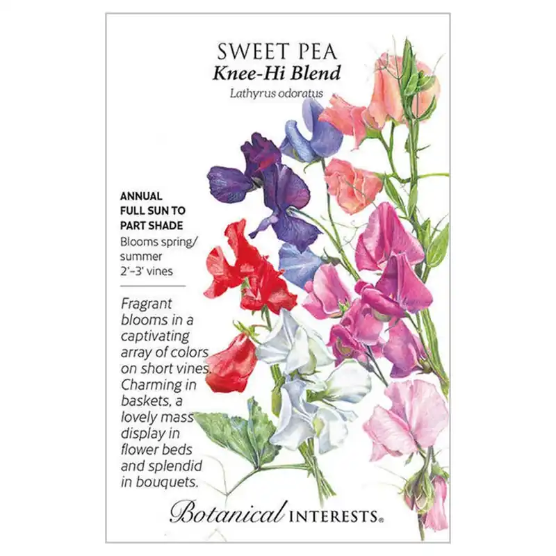 Botanical Interests Knee-Hi Blend Sweet Pea Seeds