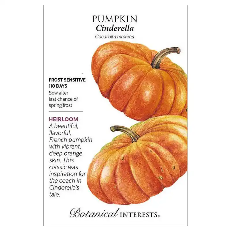 Botanical Interests French Cinderella Pumpkin Seeds