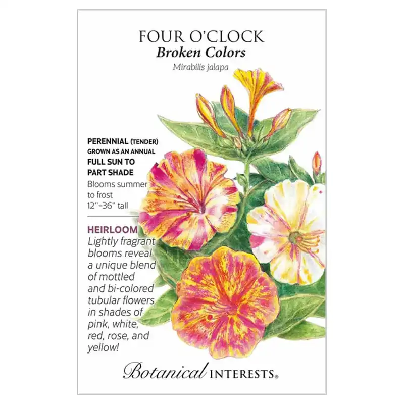 Botanical Interests Broken Colors Four o‘Clock Seeds