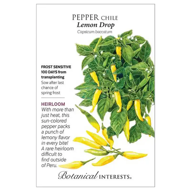Botanical Interests Lemon Drop Chile Pepper Seeds