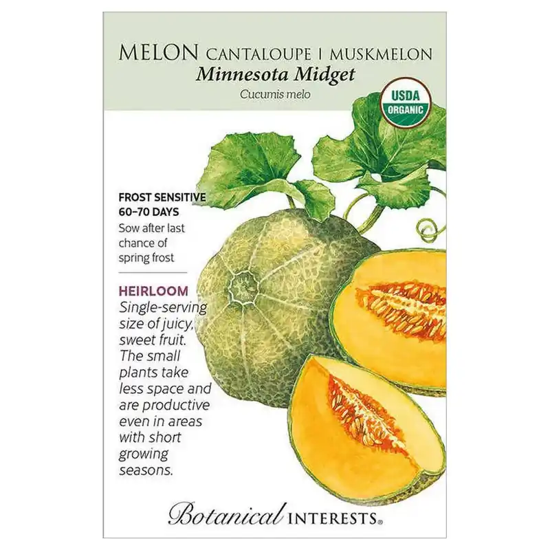 Botanical Interests Minnesota Midget Cantaloupe/Muskmelon Melon Seeds