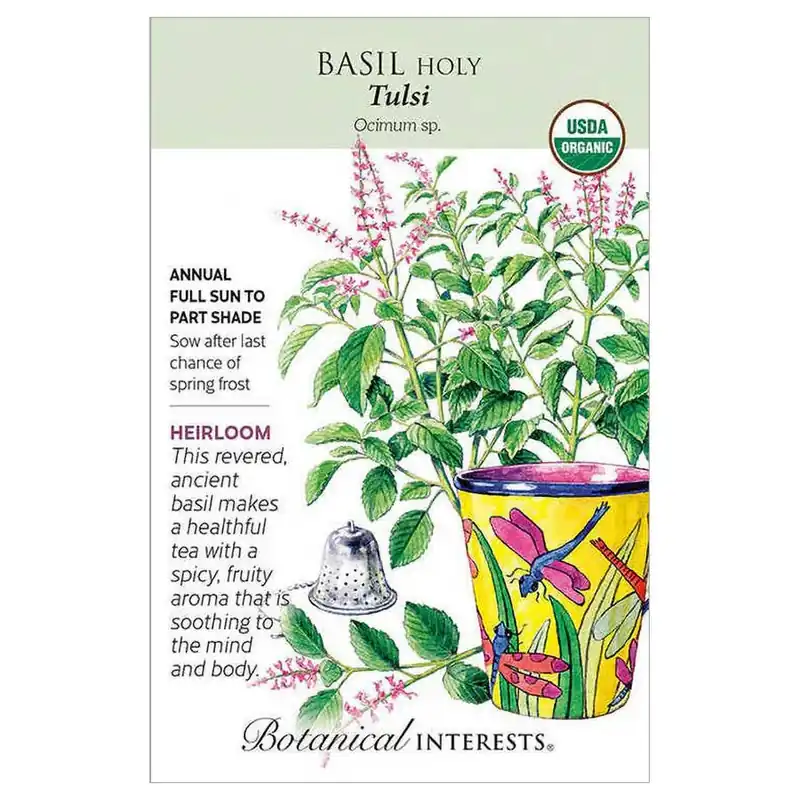 Botanical Interests Tulsi Holy Basil Seeds