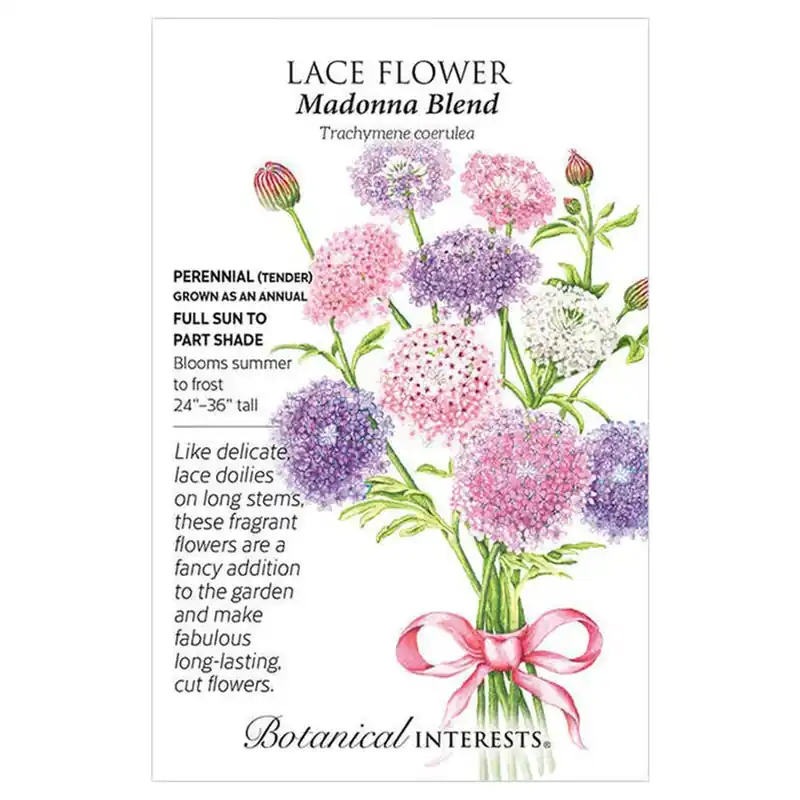 Botanical Interests Madonna Blend Lace Flower Seeds