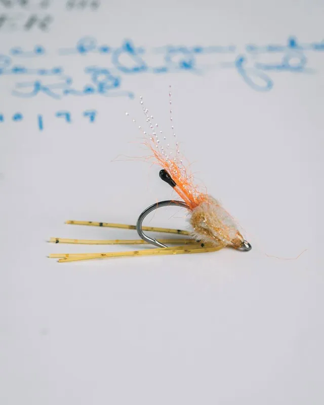 Psuedo Shrimp
