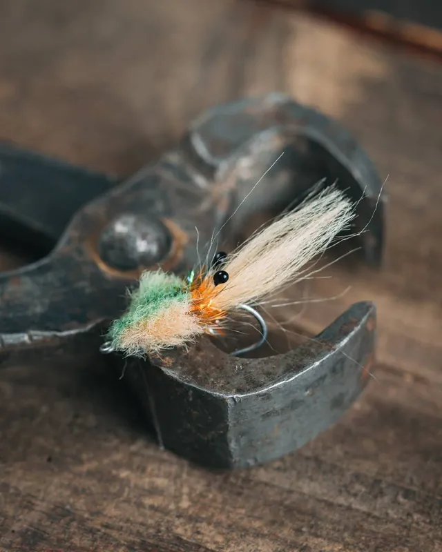 Tim Borsky‘s Mangrove Critter
