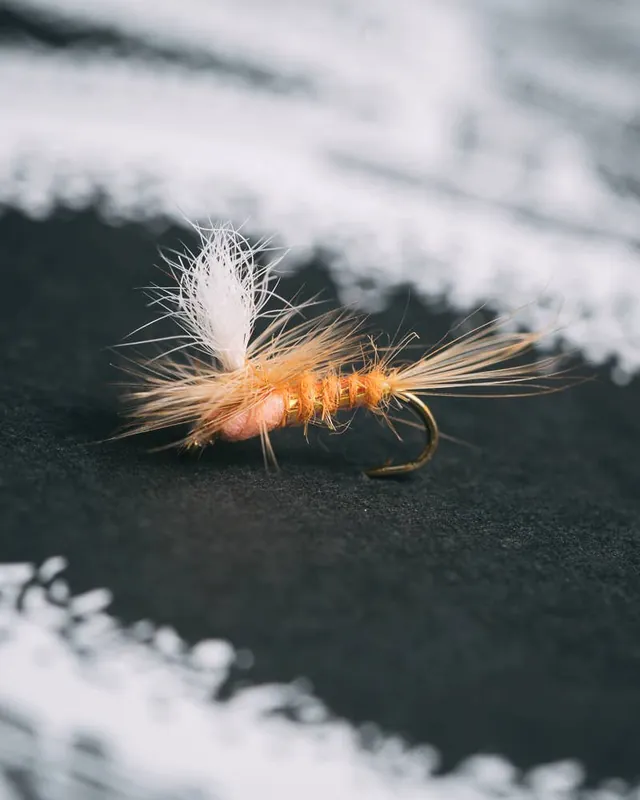 Mike Mercer‘s Parachute Pink Cahill