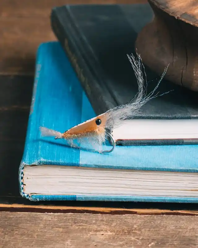 Enrico Puglisi‘s Grass Shrimp