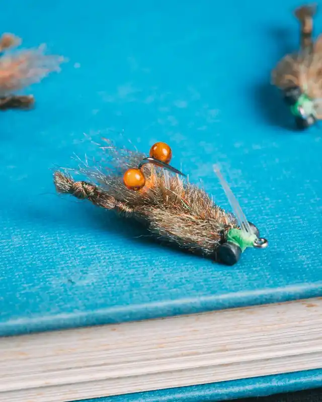 Enrico Puglisi‘s Spawning Crab