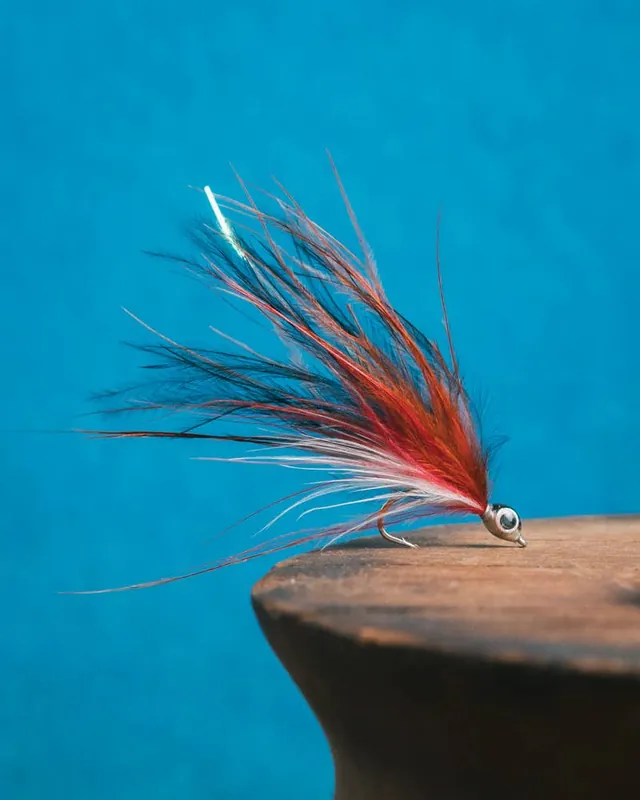 Seth‘s Sand Eel