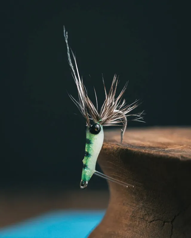 SST Shrimp