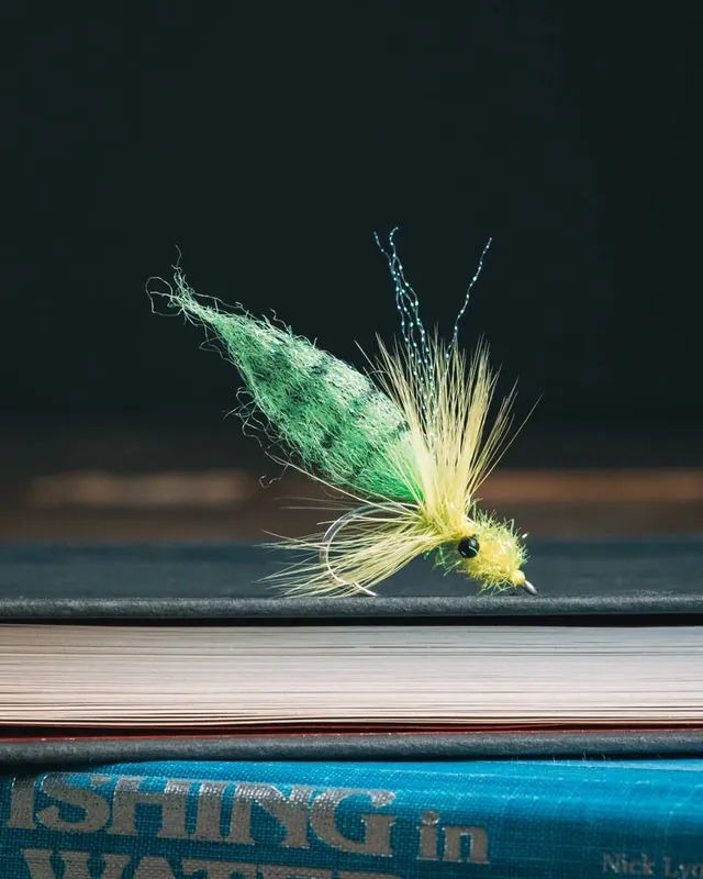 The Fly