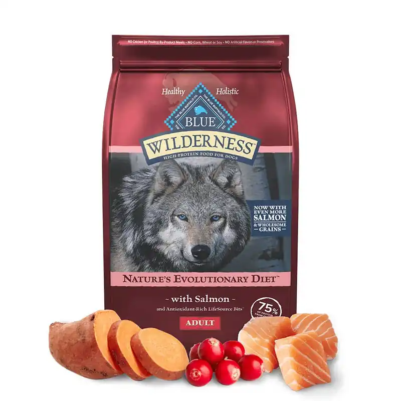 Blue Buffalo Wilderness High Protein Adult Dog Food - Salmon w/Grains