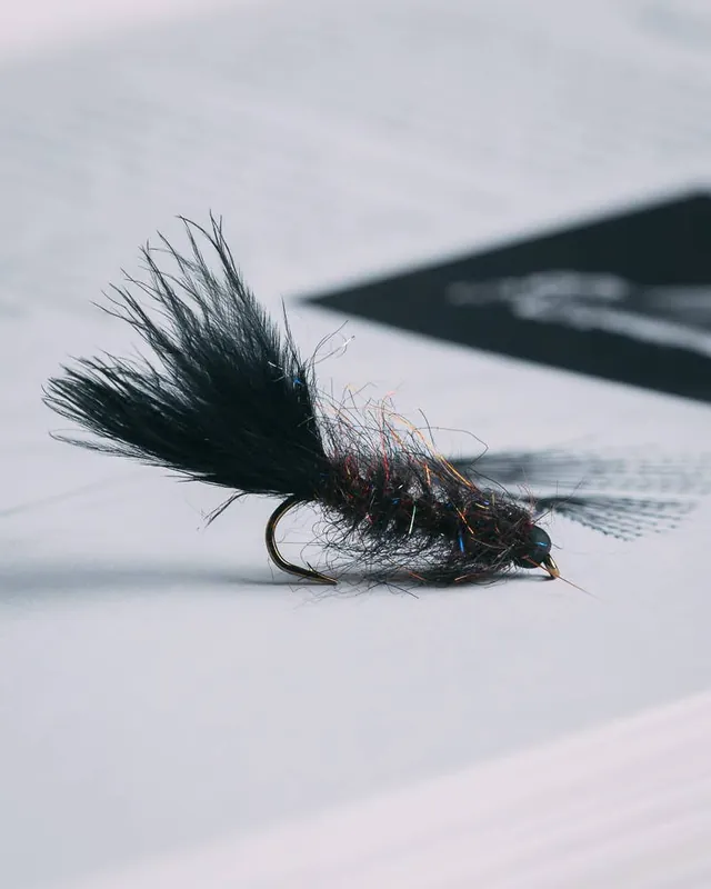 Brita Fordice‘s Jelly Leech