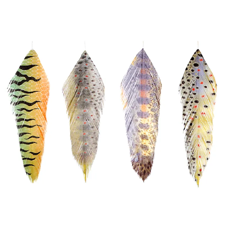 Galloup‘s Fish Feathers