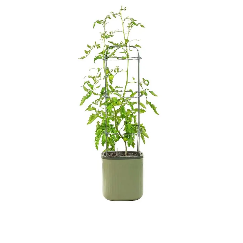 Vego Garden EZ Self-Watering Tomato Planter