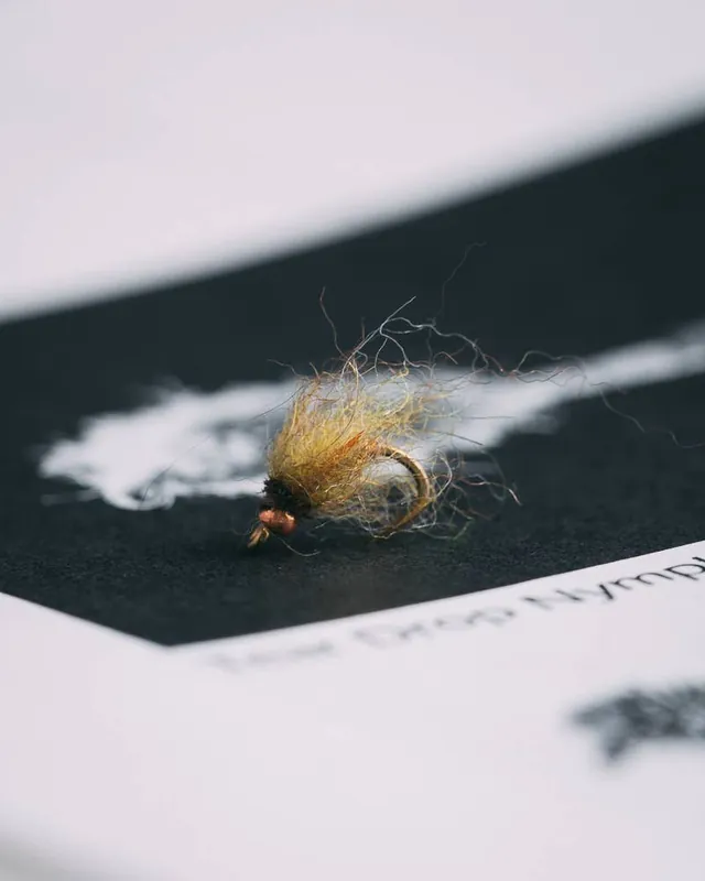 Hogan Brown‘s Yuba Pupa