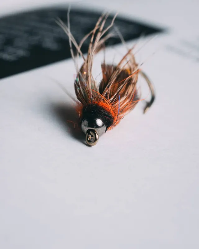 Ken Morrish‘s Deep October Pupa