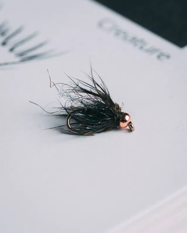 Hogan Brown‘s Spring Fling Pupa