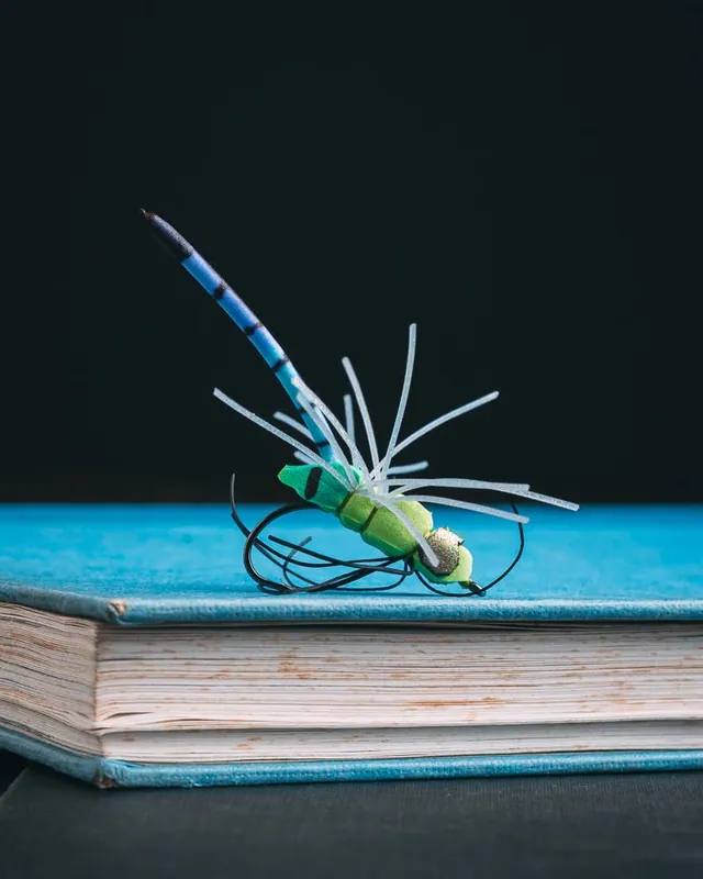 Patrick Kilby‘s My Oh My Dragonfly