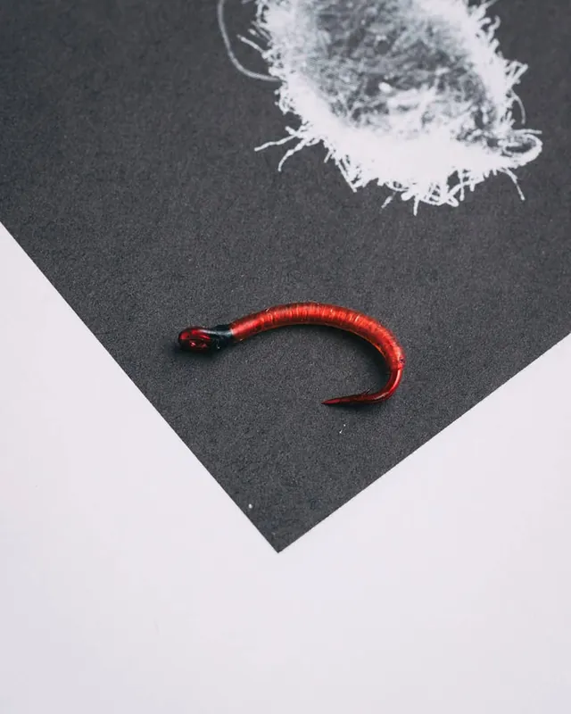 Patrick Kilby‘s Bloodworm