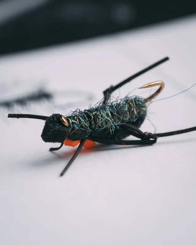 Patrick Kilby‘s Ground Beetle
