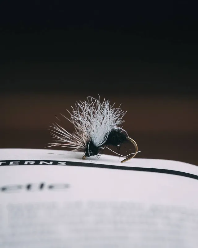 Jonny King‘s Splitsville Flying Ant
