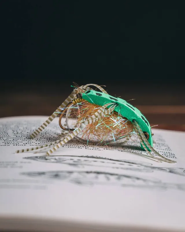Patrick Kilby‘s Shimmy Frog