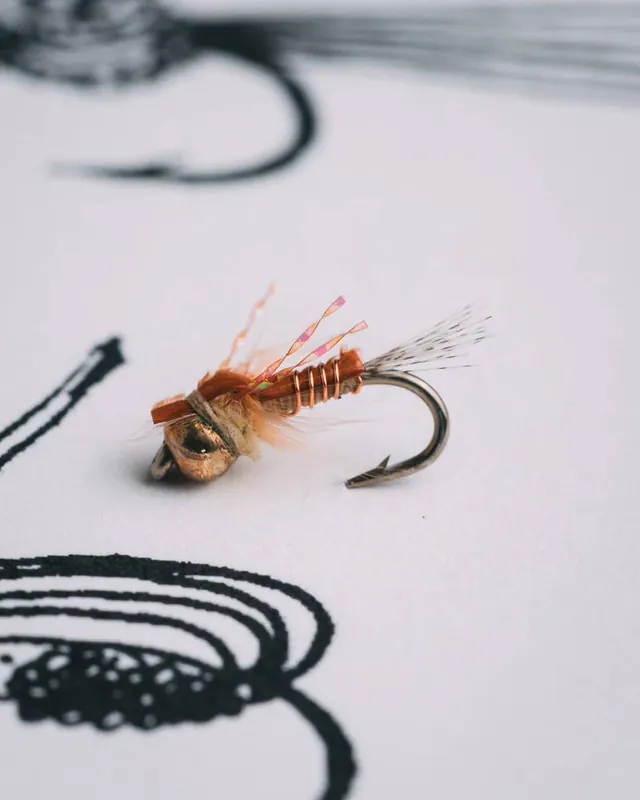 Hogan Brown‘s S&M Nymph