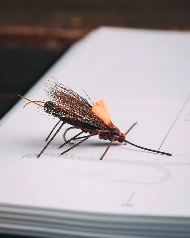 Ken Morrish‘s Fluttering Stone