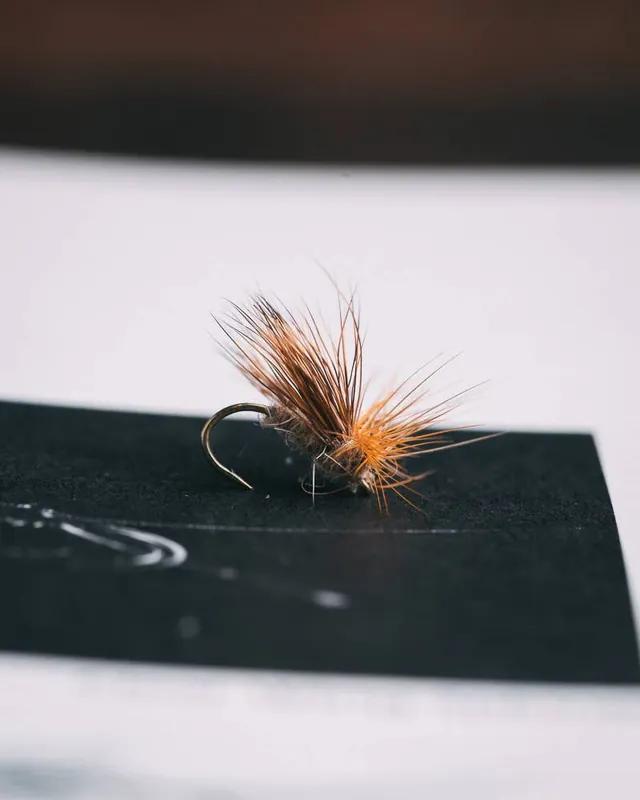 Jonny King‘s Splitsville Caddis
