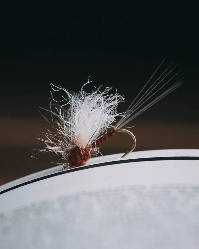 Jonny King‘s Splitsville Spinner