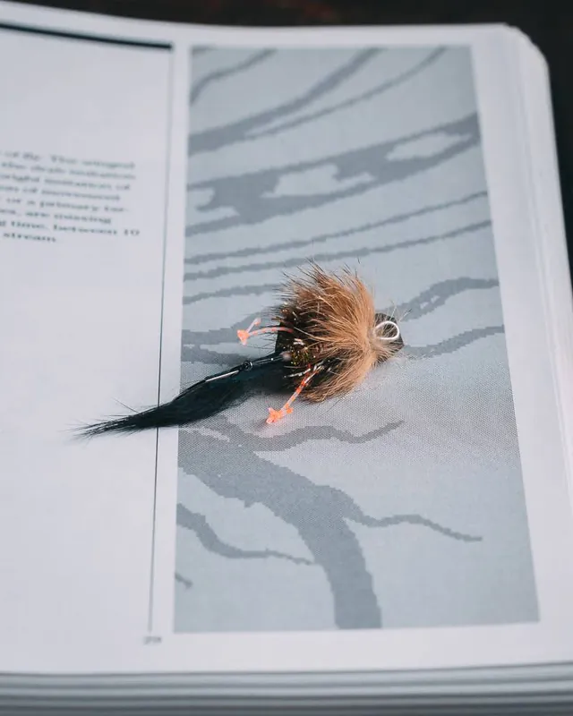 Patrick Kilby‘s Pip Squeak