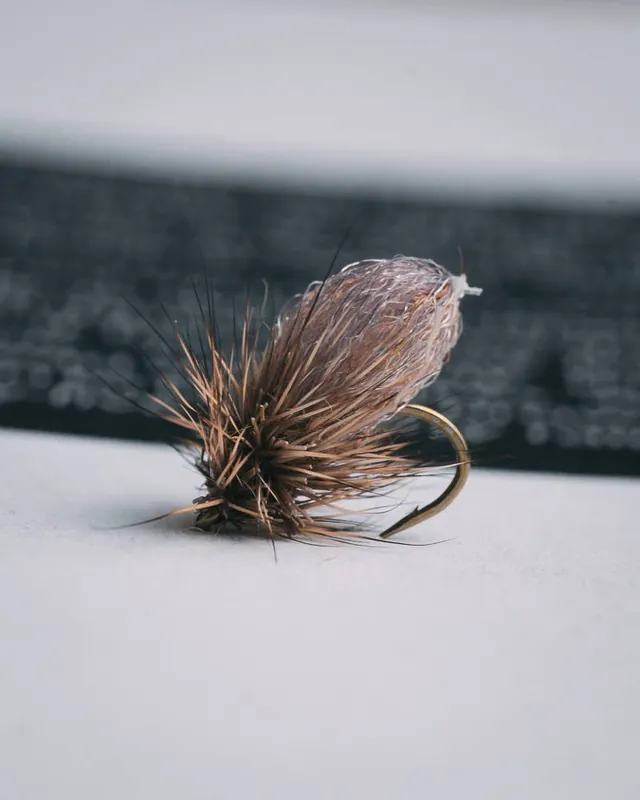 Jonny King‘s Zeppelin Caddis