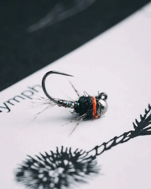Ken Morrish‘s Sparkle Donkey TB